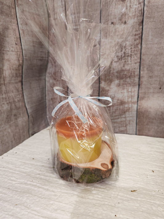 Bougie Menthe Citron