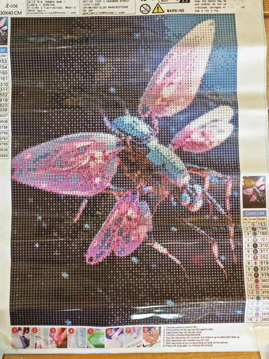 🌸💎Toile Diamant Painting 🌸💎